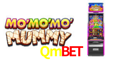 Premium Interface Qmbet
